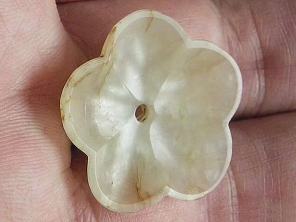 Flower 469 - (1780)